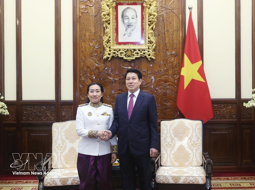 vietnam eyes stronger relations with cambodia, saudi arabia, dominica picture 1