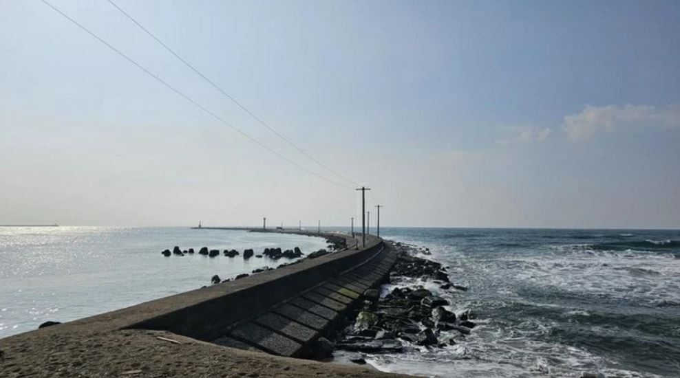 tiep tuc tim kiem 3 nguoi viet gap nan do song lon tai nhat ban hinh anh 1