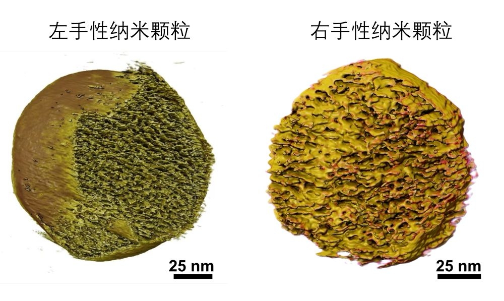 trung quoc phat trien loai ta duoc moi giup tang hieu qua vaccine ung thu hinh anh 1