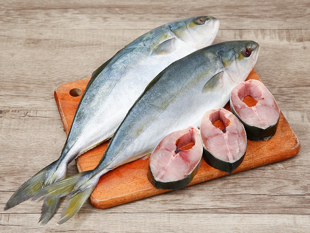 Loại cá đắt giá được nhân giống thành công tại Việt Nam