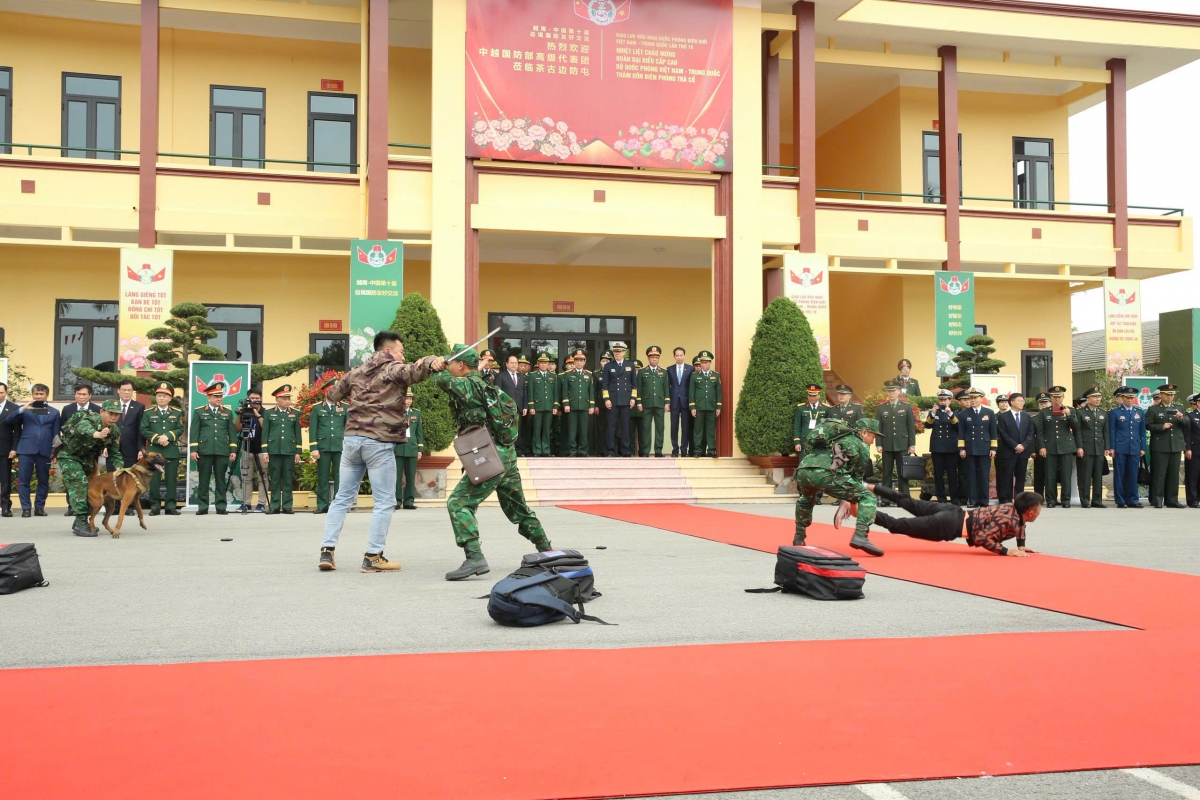 xem cho nghiep vu trinh dien tuan tra phat hien, bat toi pham ma tuy hinh anh 8