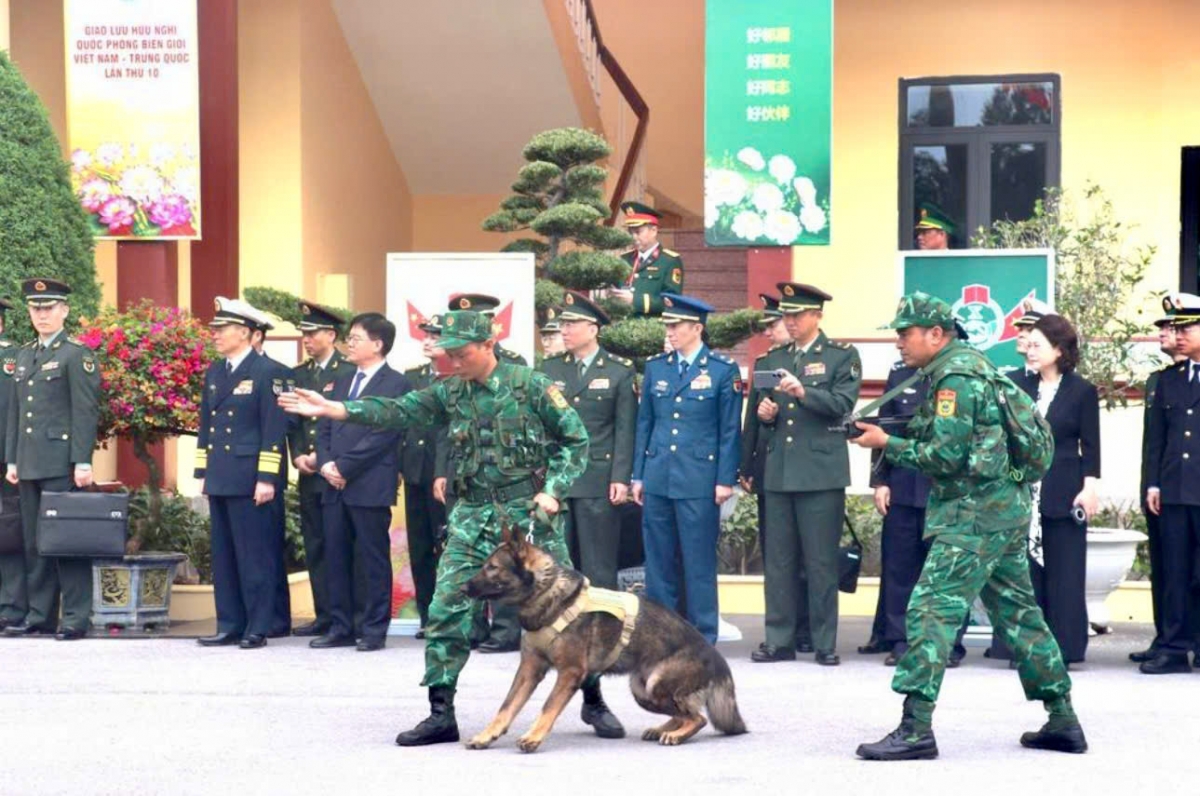 xem cho nghiep vu trinh dien tuan tra phat hien, bat toi pham ma tuy hinh anh 5