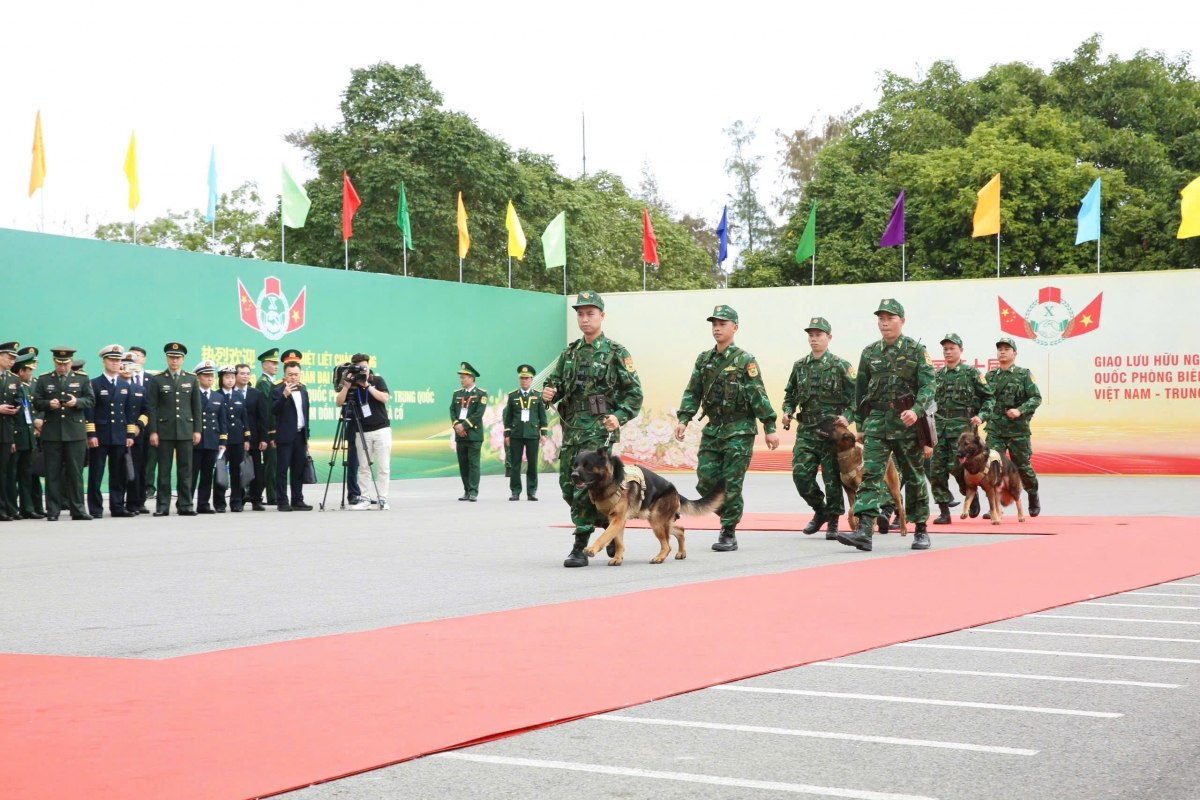 xem cho nghiep vu trinh dien tuan tra phat hien, bat toi pham ma tuy hinh anh 1