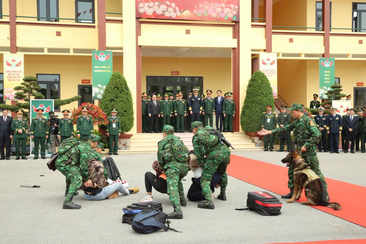 xem cho nghiep vu trinh dien tuan tra phat hien, bat toi pham ma tuy hinh anh 11