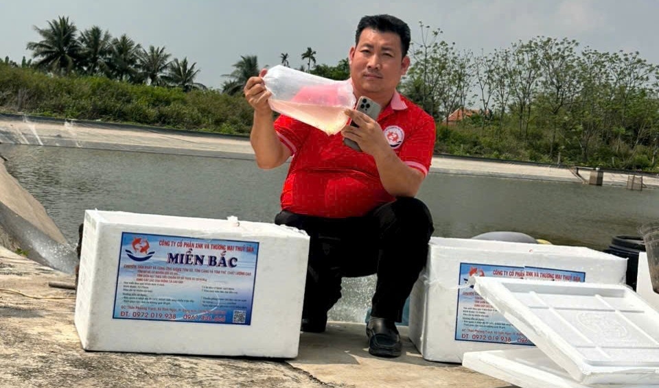 gia xang dau tang anh huong doanh thu, doanh nghiep thu hep san xuat hinh anh 2