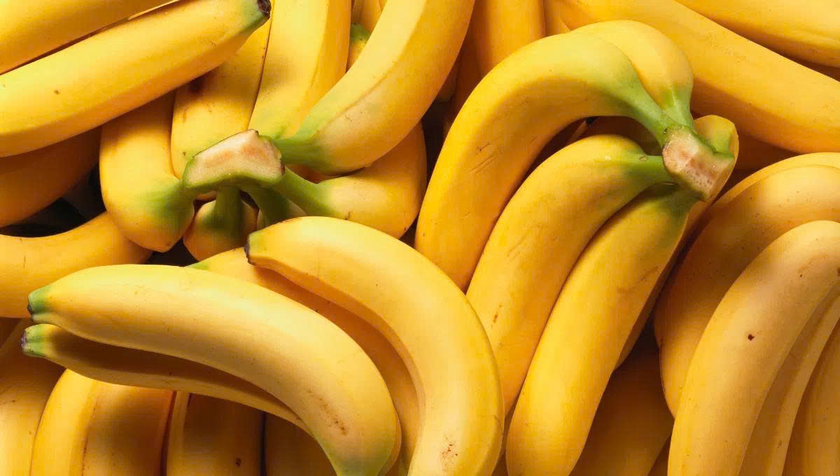 thoi quen an 2 qua chuoi moi ngay giup co the thay doi ra sao hinh anh 1