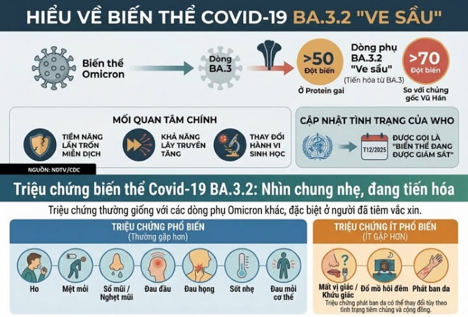ha noi khuyen cao nguoi dan khong hoang mang voi bien the covid-19 moi ba.3.2 hinh anh 1