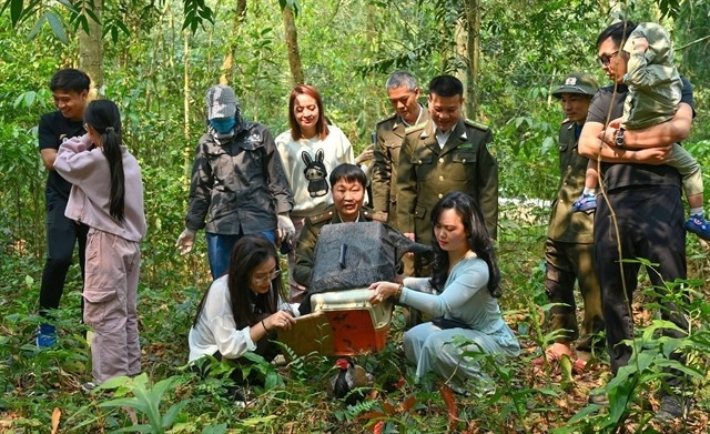 cuc phuong national park targets becoming natural wildlife gene bank by 2050 picture 1