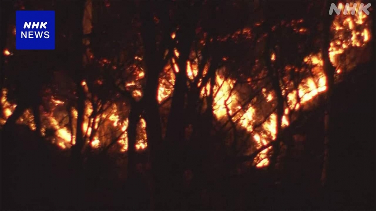 chay rung tiep tuc lan rong tai gunma nhat ban hinh anh 1