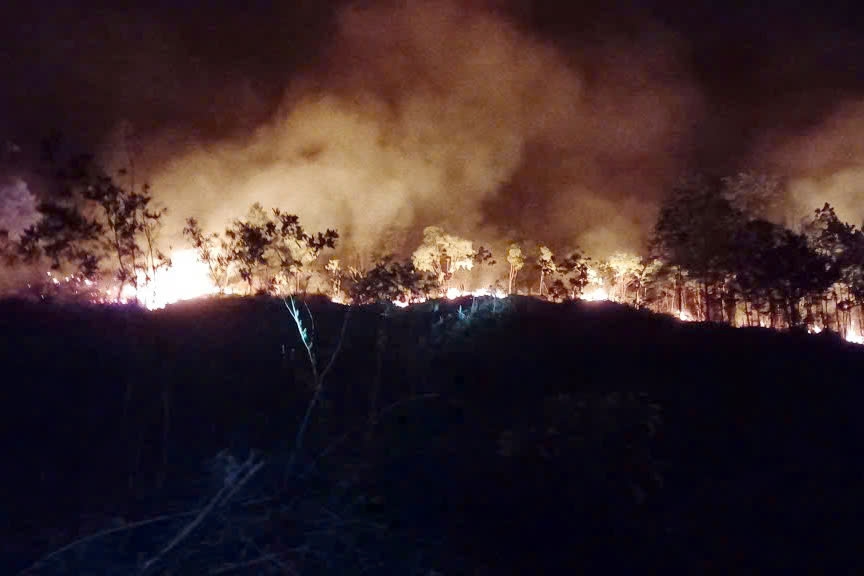 Kịp thời khống chế vụ cháy rừng tại xã A Lưới 1, thành phố Huế