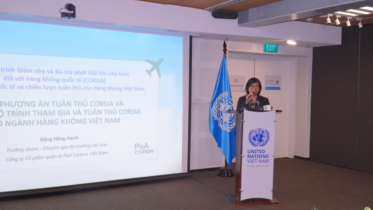 technical meeting on corsia highlights roadmap for vietnam s aviation sector picture 3