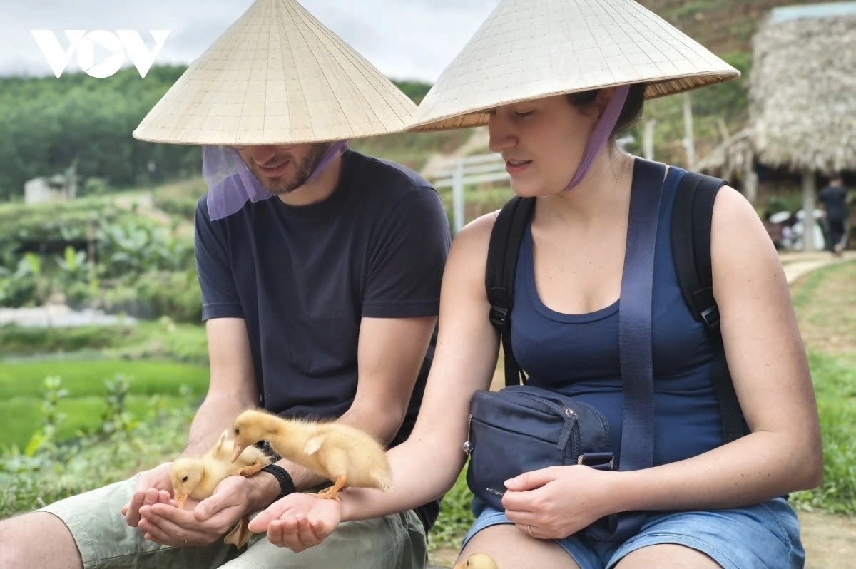 rural experiences draw foreign tourists to central vietnam picture 2