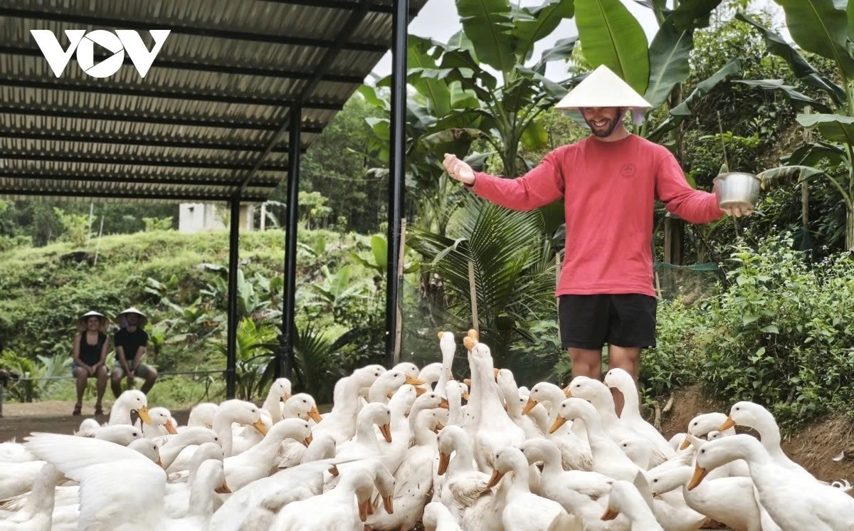 rural experiences draw foreign tourists to central vietnam picture 4