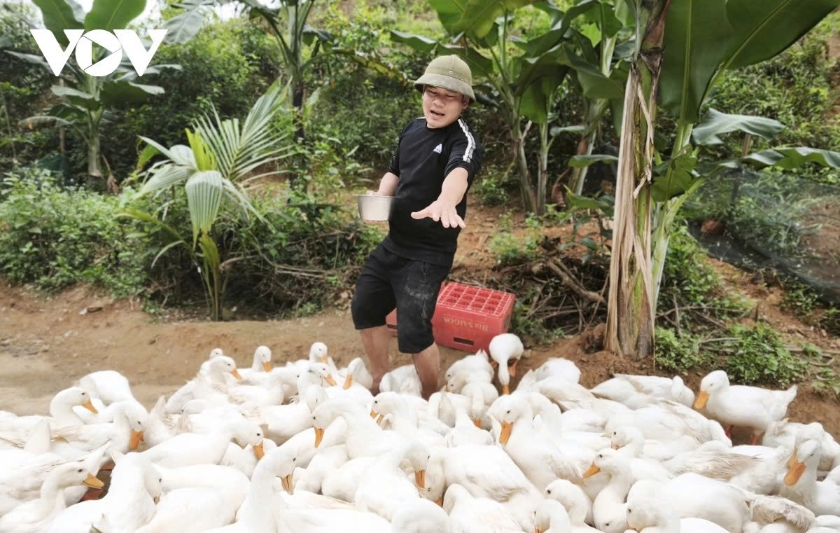 rural experiences draw foreign tourists to central vietnam picture 5