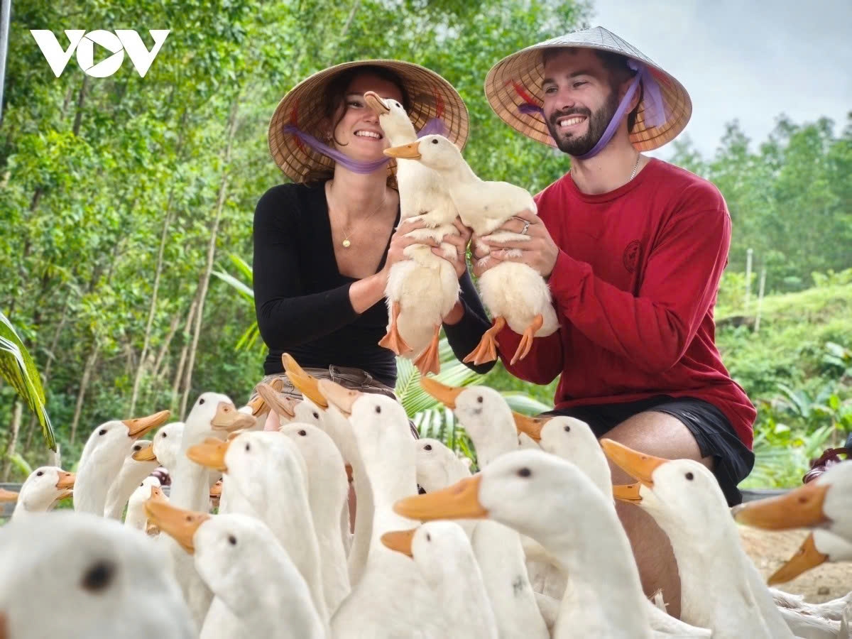 rural experiences draw foreign tourists to central vietnam picture 6