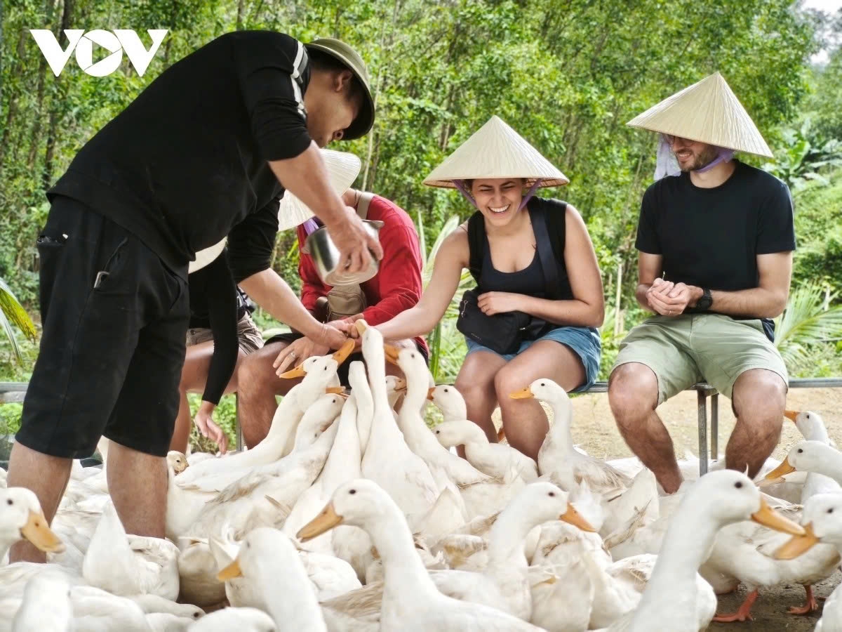 rural experiences draw foreign tourists to central vietnam picture 8