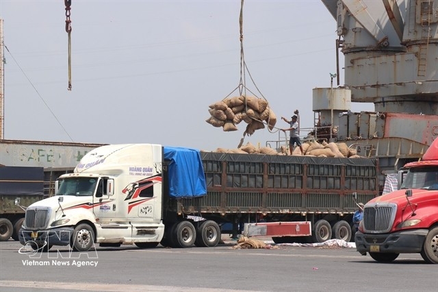 hcm city firms adjust markets to maintain jobs amid global shipping disruptions picture 1