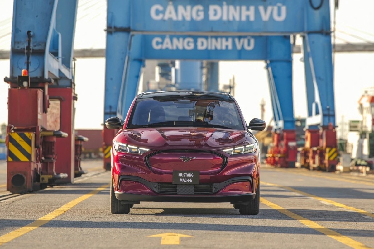 ford viet nam lien tiep trieu hoi mustang mach-e cung do loi den led hinh anh 1