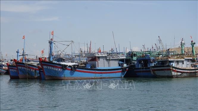 gia lai becomes vietnam s first locality to install vms on 12 15m fishing vessels picture 1