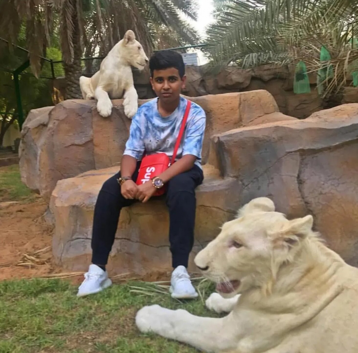 rich kid dubai 16 tuoi duoc tang sieu xe, nuoi thu hoang trong nha, gio ra sao hinh anh 1