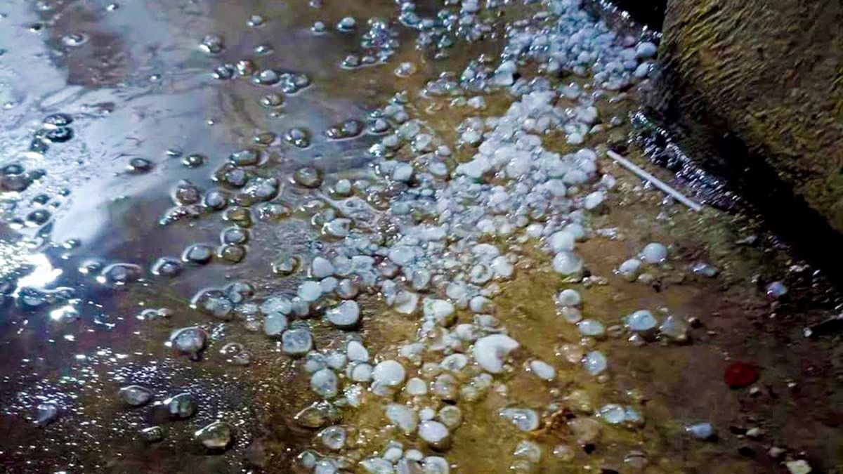 hail hits hanoi and multiple northern localities before dawn picture 1