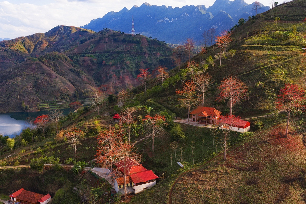 ngam hoa gao bung no do ruc giua nui rung son la hinh anh 13