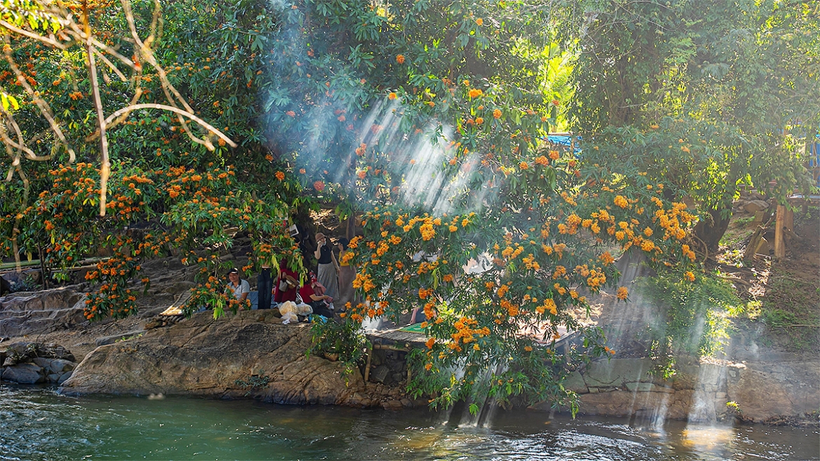 hoa trang rung no ro, nang tho cua dai ngan gia lai thuc giac hinh anh 9