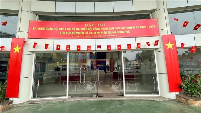 cac nha khoa hoc trung cu Dai bieu quoc hoi khoa xvi hinh anh 1