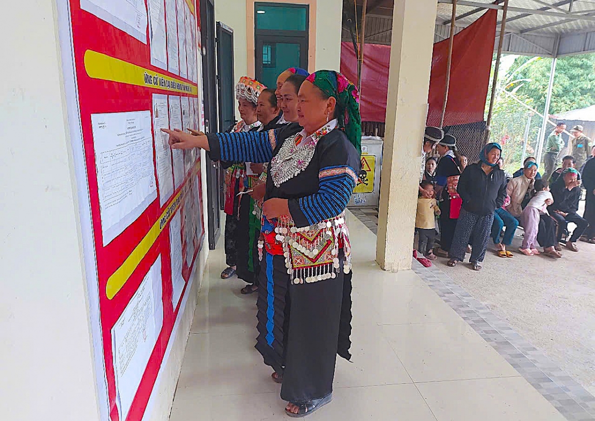 Các khu vực bầu cử sớm ở Nghệ An có 99,62% cử tri bỏ phiếu