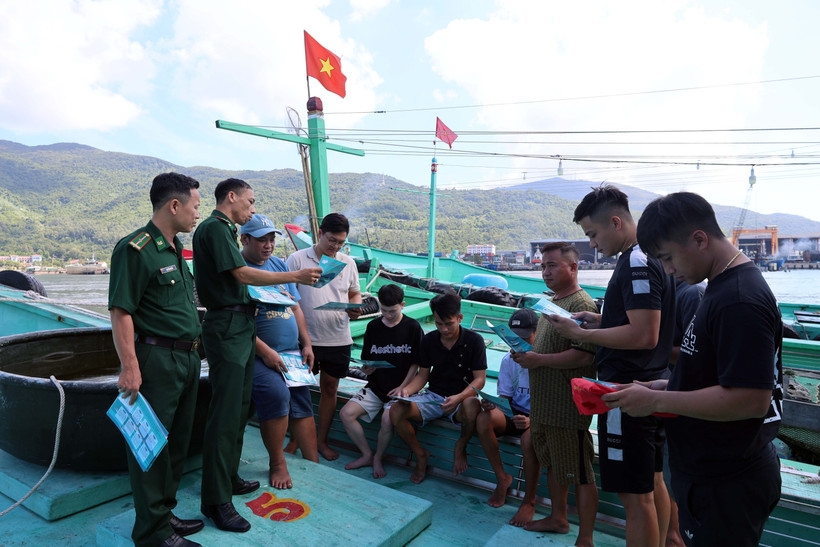 fishing solidarity groups help vietnam with iuu yellow card warning removal picture 1