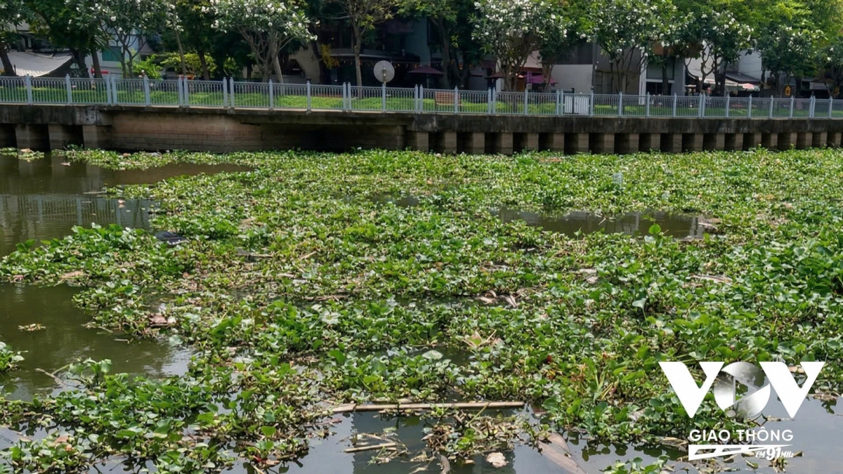 rac, nuoc den va mui hoi lai bua vay kenh nhieu loc-thi nghe hinh anh 1