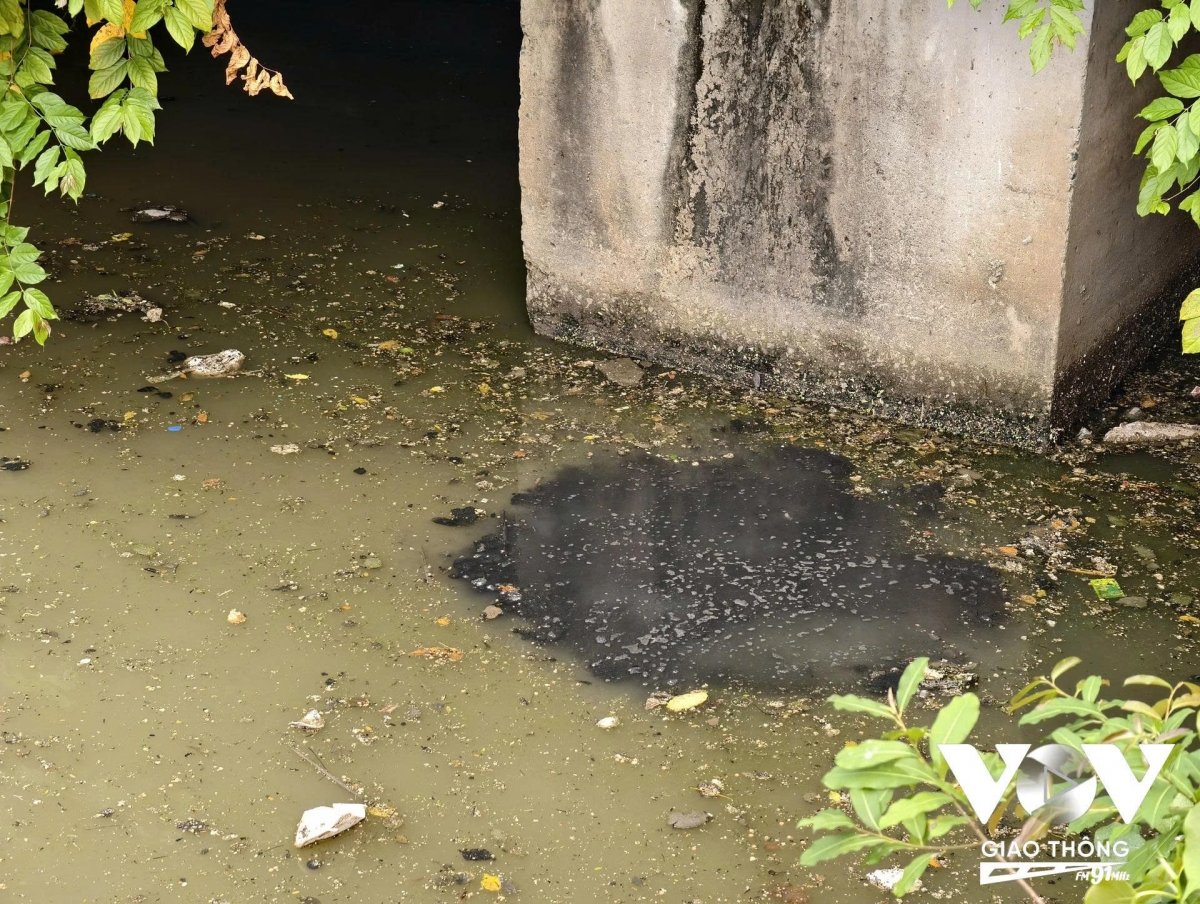 rac, nuoc den va mui hoi lai bua vay kenh nhieu loc-thi nghe hinh anh 2