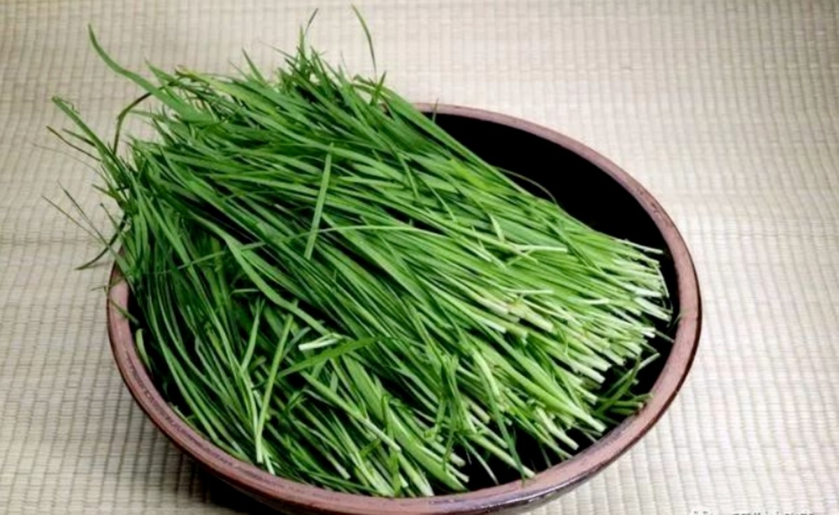 cay thuoc viet an vao bo than duong tim, cu ra cho la thay ma it nguoi biet hinh anh 1