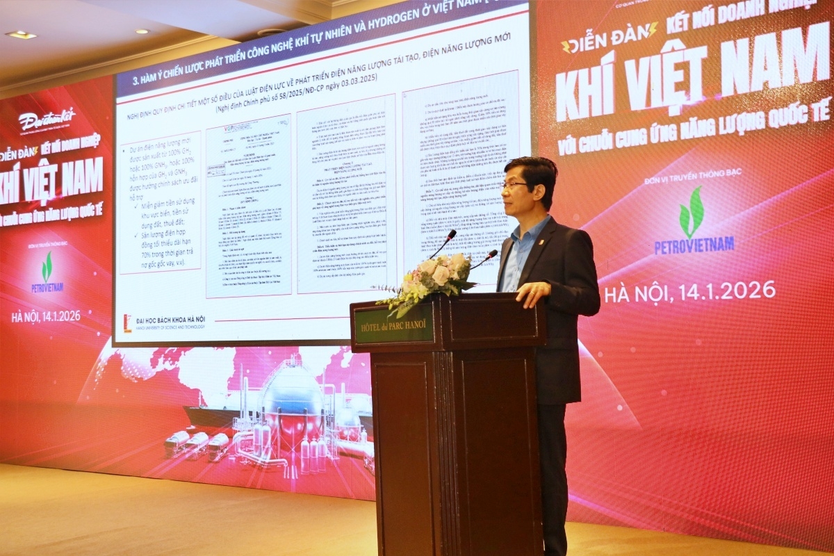 De doanh nghiep khi trong nuoc hoi nhap chuoi gia tri nang luong toan cau hinh anh 4