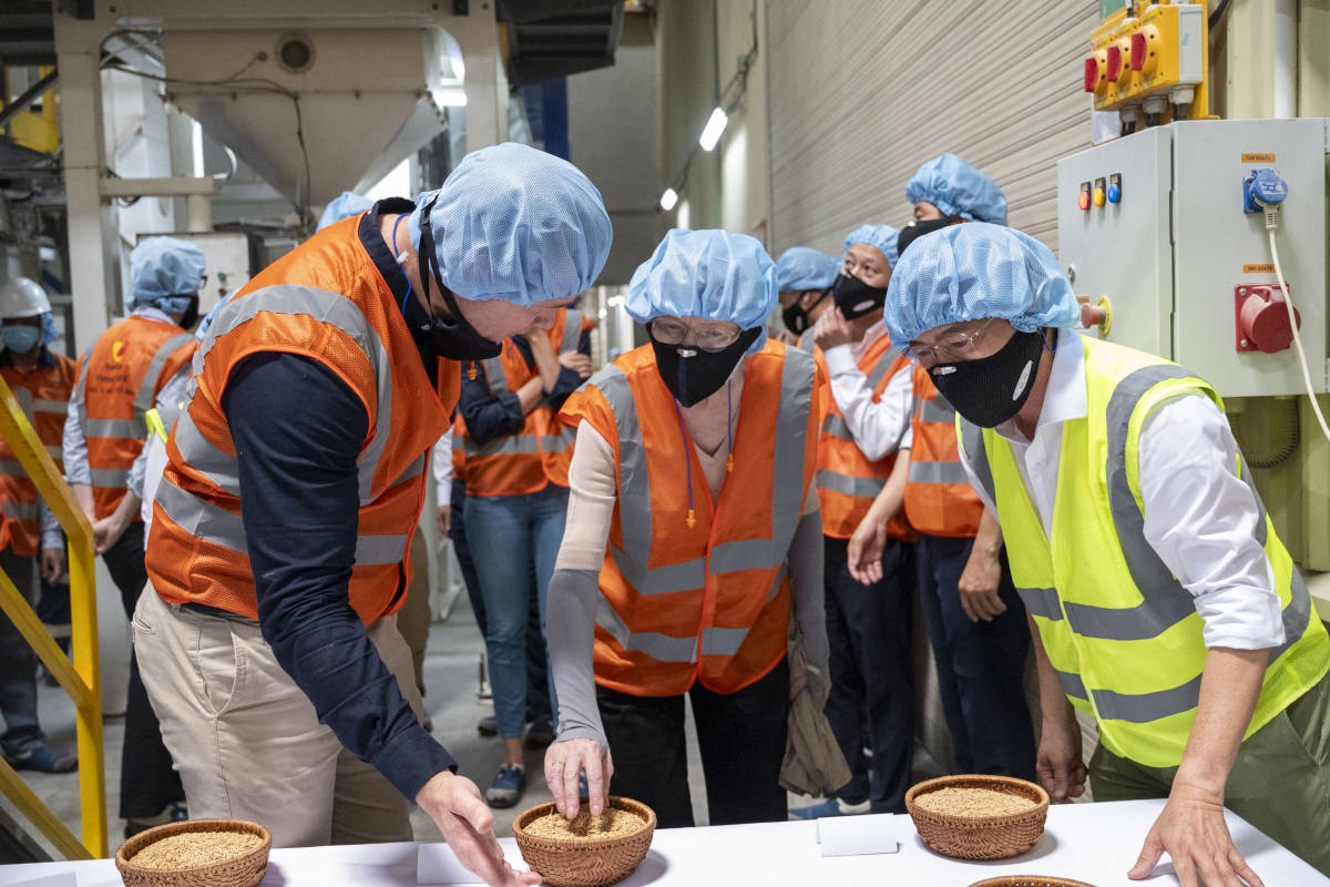 vietnam - australia partnership boosts mekong delta climate-smart rice farming picture 1