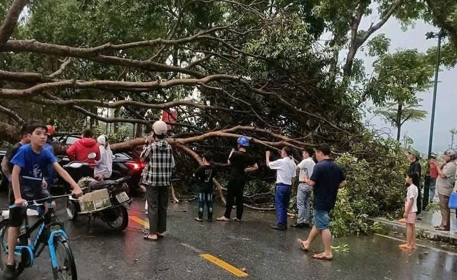 dong loc gay thiet hai o khu vuc thi xa nghia lo cu, tinh lao cai hinh anh 4