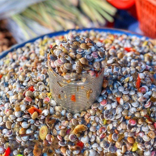 Săn lùng loại ốc nhỏ như cúc áo, hương vị độc lạ