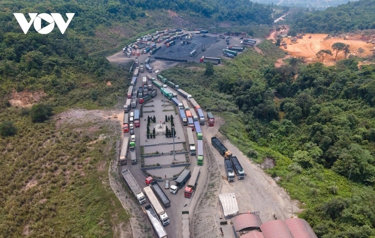 tam ngung thi hanh nghi dinh 46 ve an toan thuc pham hinh anh 1