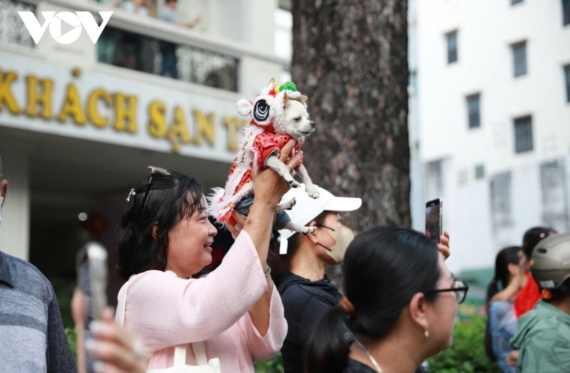 nearly 1,200 performers take part in nguyen tieu festival parade in hcm city picture 12
