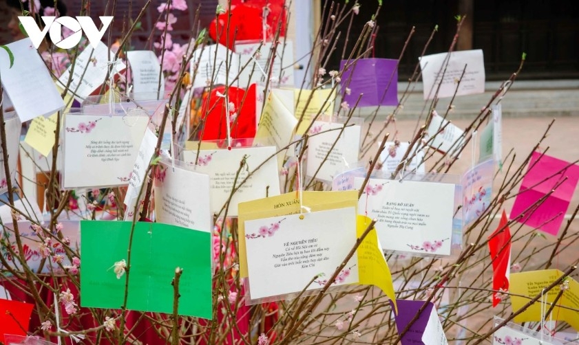 hanoi poetry day 2026 reflects aspiration towards the open sea picture 5