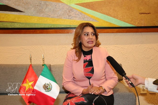 mexican lawmaker confident in vietnamese legislature s enhanced role picture 1