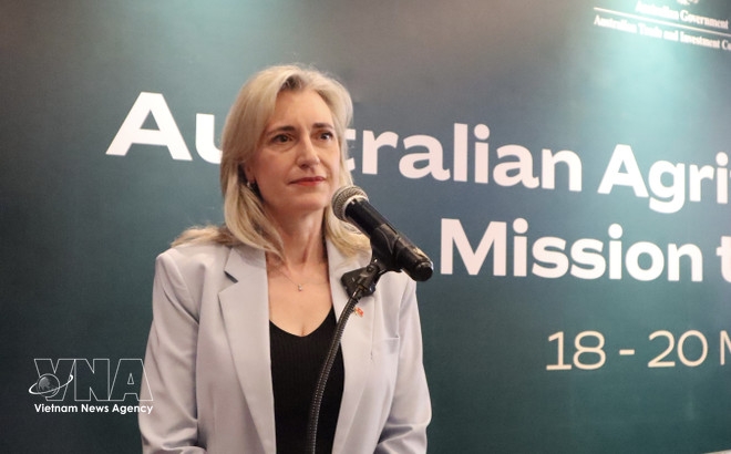 vietnam, australia boost cooperation in agriculture, food sectors picture 2