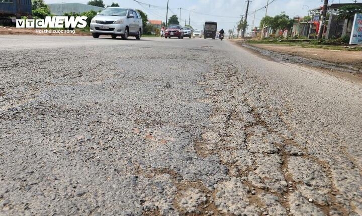 du an gan 1.000 ty thi cong rua bo , nha thau dung truoc nguy co bi tram hinh anh 1