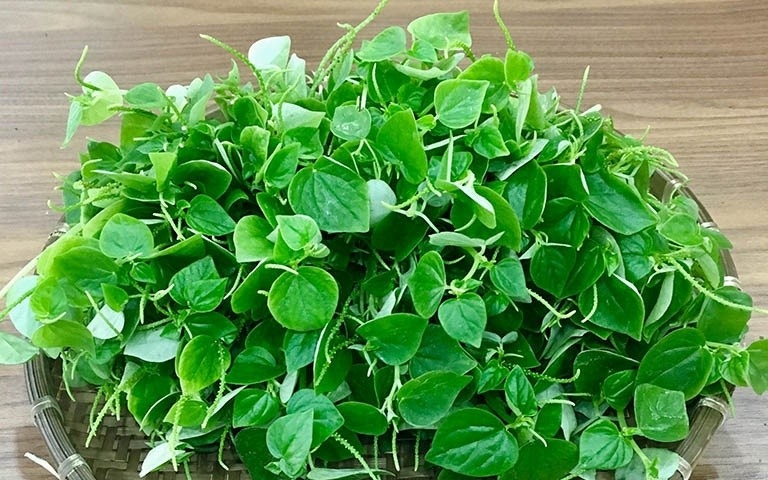 Việt Nam có vị “thuốc bổ tự nhiên” giòn dai mọng nước, ăn vào tốt ngang nhân sâm