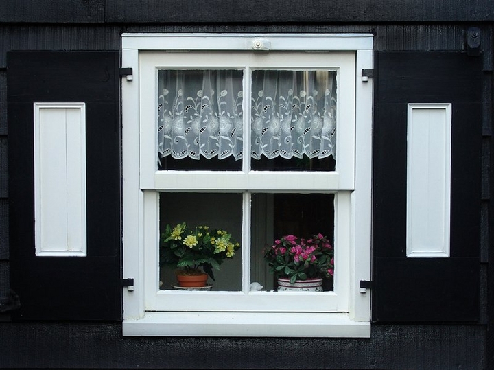 vi sao nguoi ha lan khong thich dung rem cua hinh anh 3