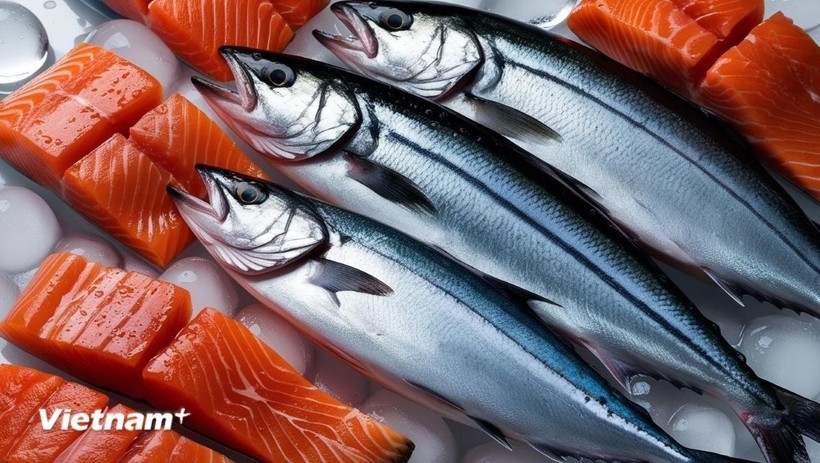 vietnam becomes fastest growing market for norwegian salmon in southeast asia picture 1