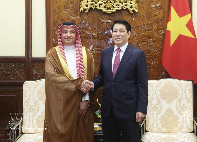vietnam eyes stronger relations with cambodia, saudi arabia, dominica picture 2