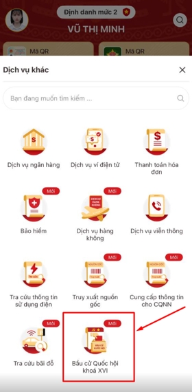 bo cong an huong dan nguoi dan su dung vneid de ho tro bau cu quoc hoi hinh anh 2