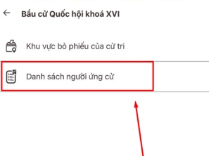 bo cong an huong dan nguoi dan su dung vneid de ho tro bau cu quoc hoi hinh anh 4