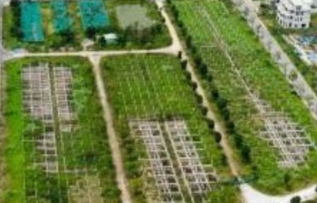 Điều tra mở rộng vụ lừa đảo mua bán đất nền "dự án" tại Công ty Đại Phúc Real